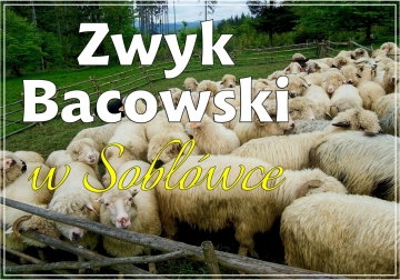 Zaproszenie na Zwyk Bacowski w Soblówce