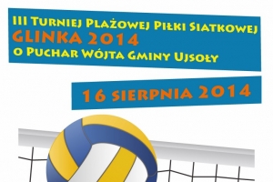 III Turniej Plażowej Piłki Siatkowej - Glinka 2014 - zdjęcie1