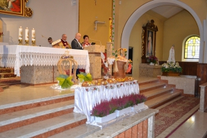 Dożynki Gminno-Parafialne w Ujsołach - zdjęcie38